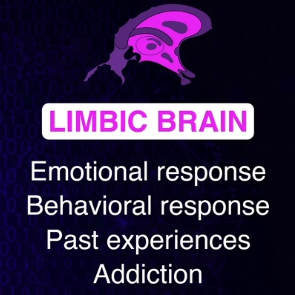 Limbic Brain